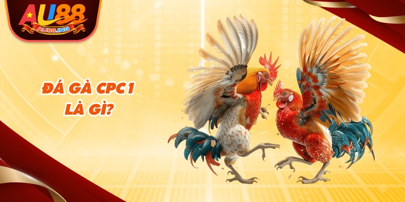 Đá gà cpc1 là gì?